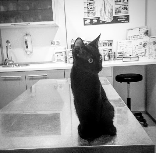 Hostalets Veterinaria en Els Hostalets de Pierola, Barcelona