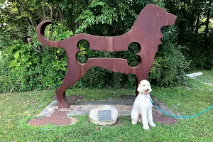 Sari Asher Memorial Dog Park image