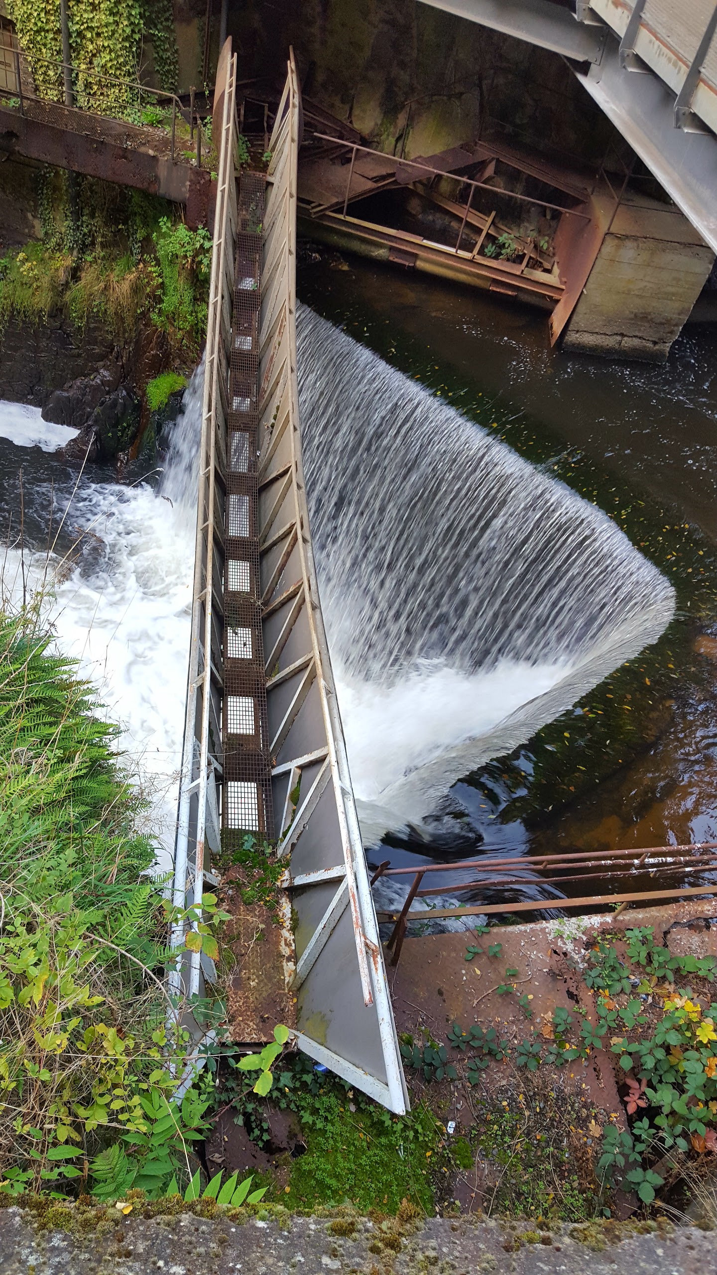 Photo n° 1 de l'avis de Ertis. fait le 21/10/2017 à 09:33