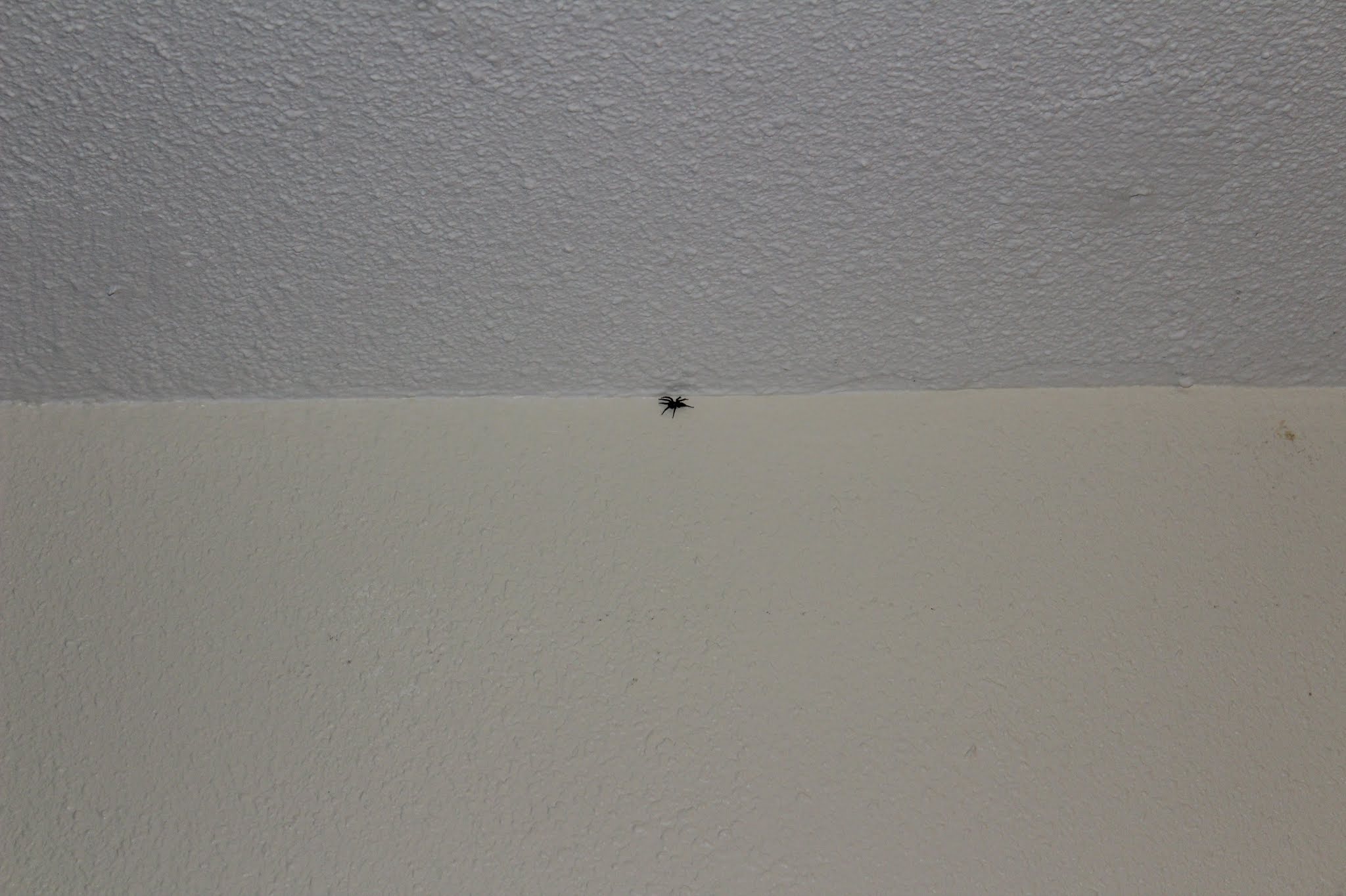 Photo n° 23 de l'avis de Manoir.o fait le 13/05/2018 à 21:29