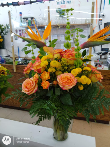 Supermarket «206 Farmers Market Inc», reviews and photos, 626 US-206, Hillsborough Township, NJ 08844, USA