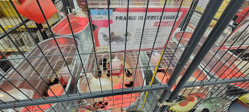 Home Improvement Store «Tractor Supply Co.», reviews and photos, 2423 N Lebanon St, Lebanon, IN 46052, USA