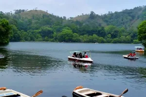 Wayanad Tour Packages image
