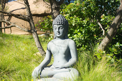 Véronique Hermitte - Yoga à Plaissan