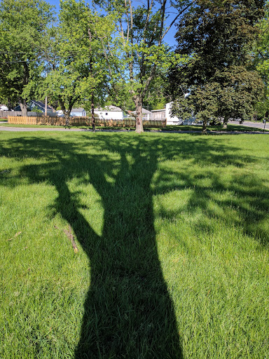 Grocery Store «Strack & Van Til Food Market», reviews and photos, 999 W Old Ridge Rd, Hobart, IN 46342, USA