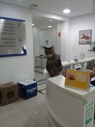 Veterinary clinic Vetmasters em São Paulo - SP