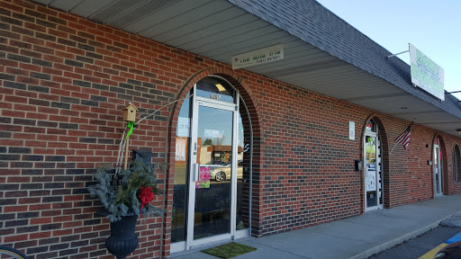 The Wild Iris Floral Boutique, 6205 Middlebelt Rd, Garden City, MI 48135, USA, 