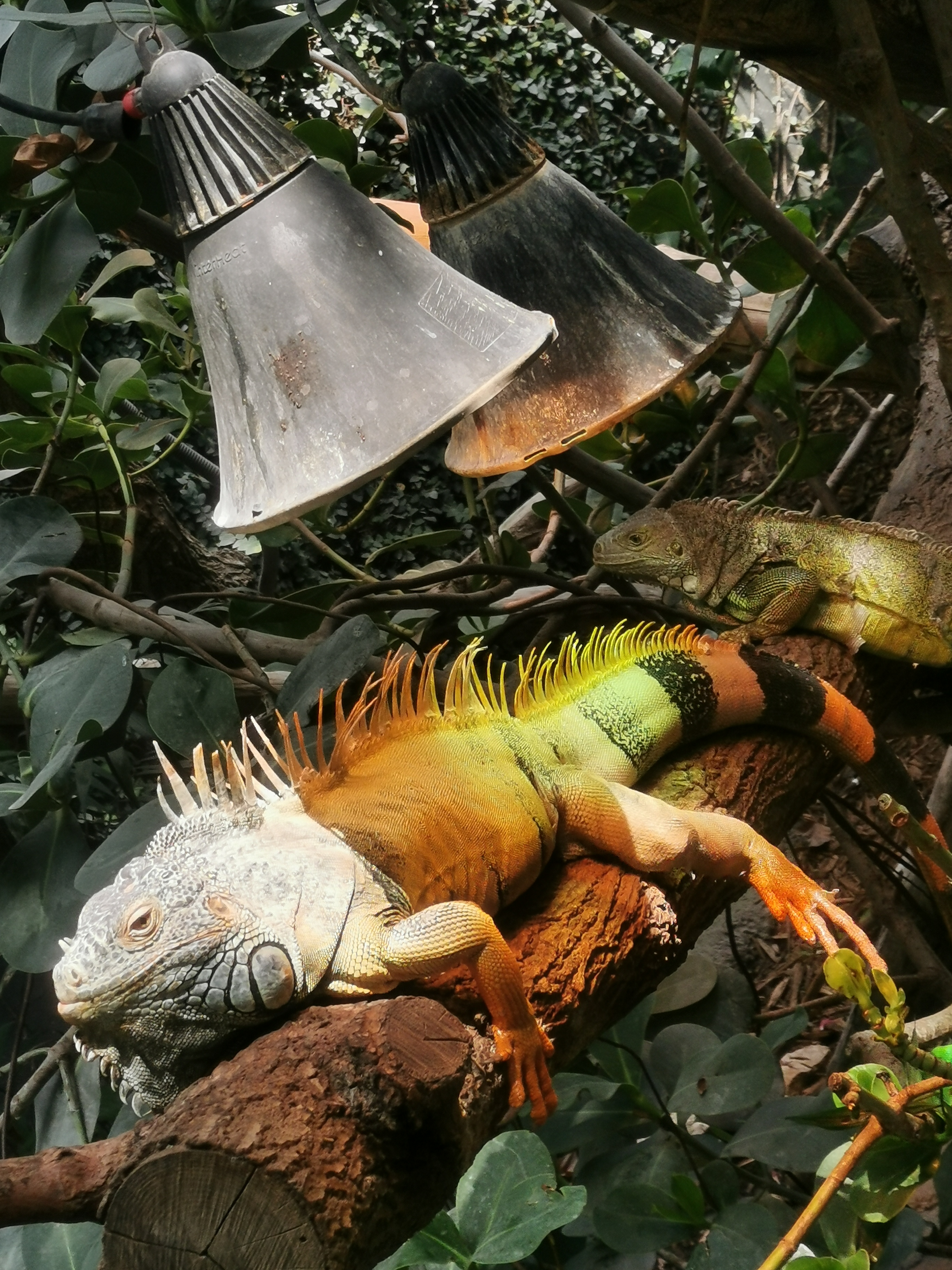 Photo n° 7 de l'avis de N1n1ce. fait le 27/04/2018 à 22:54