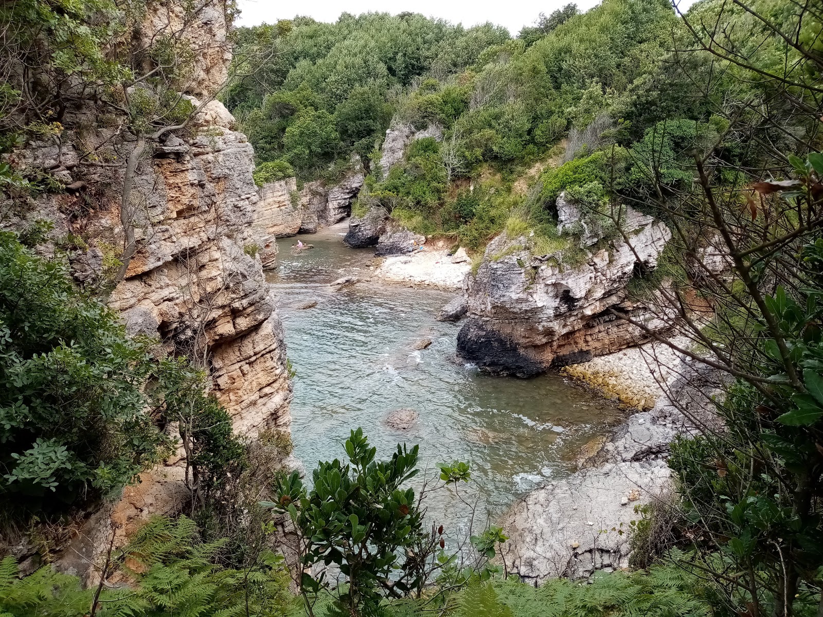 Φωτογραφία του Cennet Havuzu ubicado en área natural