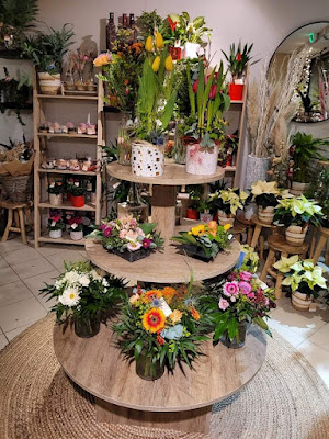 Ô Les fleurs à Saint-Aubin-du-Cormier
