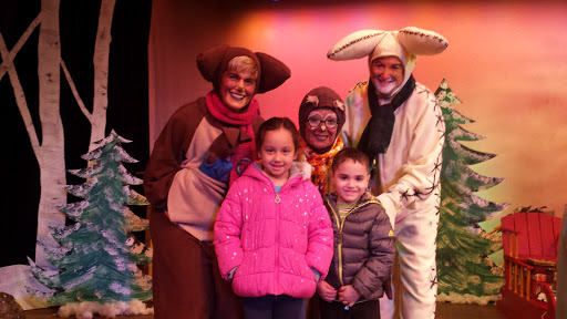 Performing Arts Theater «Chicago Street Theatre», reviews and photos, 154 W Chicago St, Valparaiso, IN 46383, USA