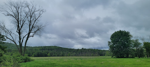 State Park «Goosepond Mountain State Park», reviews and photos, 1198 New York 17M, Chester, NY 10918, USA