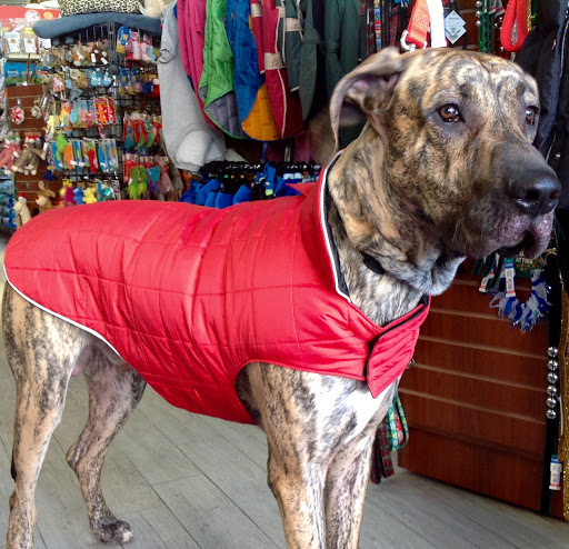 Pet Supply Store «Petport Pet Supply and Grooming Salon», reviews and photos, 40 Main St, Northport, NY 11768, USA