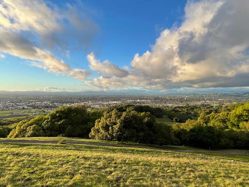 Taylor Mountain Regional Park