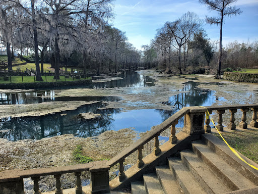 Radium Springs Garden image 3