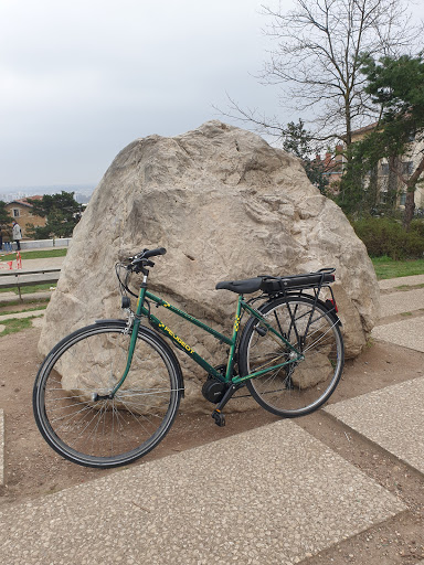 Centaur Bike Electrification Vélo Lyon