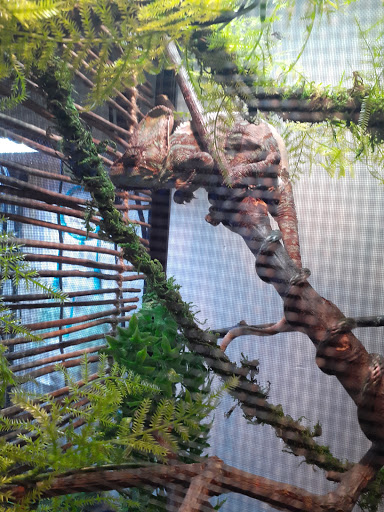 Pet Supply Store «Petco Animal Supplies», reviews and photos, 18578 Coastal Hwy #12, Rehoboth Beach, DE 19971, USA