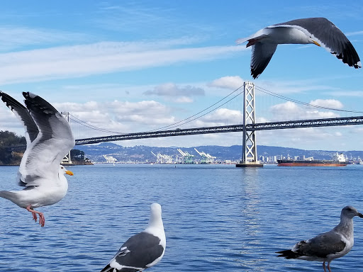 Sports Complex «Bay Club at the Gateway», reviews and photos, 370 Drumm St, San Francisco, CA 94111, USA