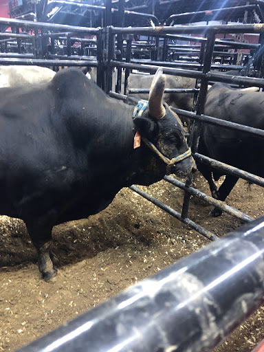 Arena «Verizon Arena», reviews and photos, 1 Verizon Arena Way, North Little Rock, AR 72114, USA