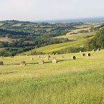 Photo n°1 de l'avis de arch..a fait le 11/06/2019 à 07:47 sur le  All'Ostarcello Ristorante à Pianello Val Tidone