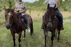 Wagon Wheel Horse Farm image