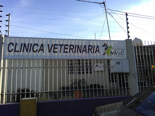 Grupo Veterinario R&G