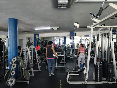 POWER LIFE FITNESS CENTER ARCOS