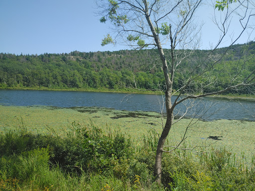 Sightseeing Tour Agency «Acadia National Park Tours», reviews and photos, 53 Main St, Bar Harbor, ME 04609, USA