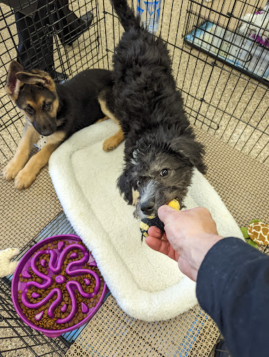 Pet Supply Store «Pet Ranch», reviews and photos, 3823 E 120th Ave, Denver, CO 80233, USA