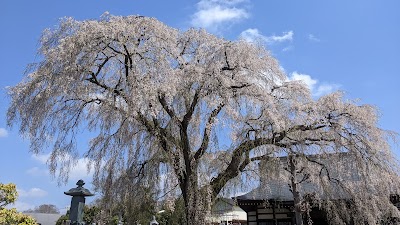 光明寺