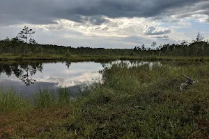 Hammarmossen and Knuthöjdsmossen - Nature reserve image