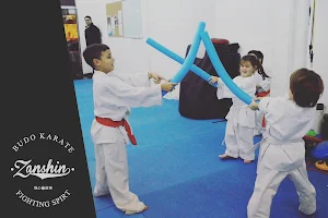 Academia Zanshin - Fitness & Martial Arts image