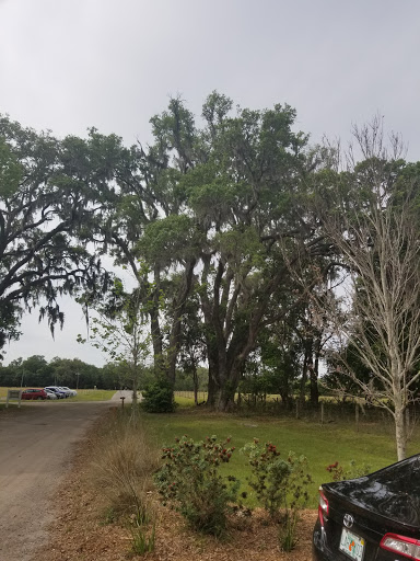 Theme Park «TreeHoppers Aerial Adventure Park», reviews and photos, 27839 St Joe Rd, Dade City, FL 33525, USA