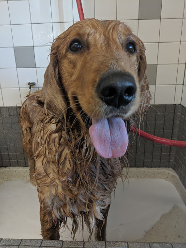 Pet Supply Store «Pet Food Express», reviews and photos, 3910 Middlefield Rd, Palo Alto, CA 94303, USA