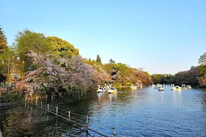 Inokashira Park image