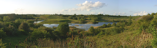 Kings Dyke Nature Reserve
