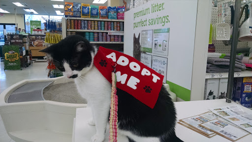 Pet Supply Store «Petco Animal Supplies», reviews and photos, 9687 Kenwood Rd, Blue Ash, OH 45242, USA