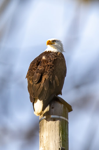 Nature Preserve «Smith and Bybee Wetlands Natural Area», reviews and photos, 5300 N Marine Dr, Portland, OR 97203, USA
