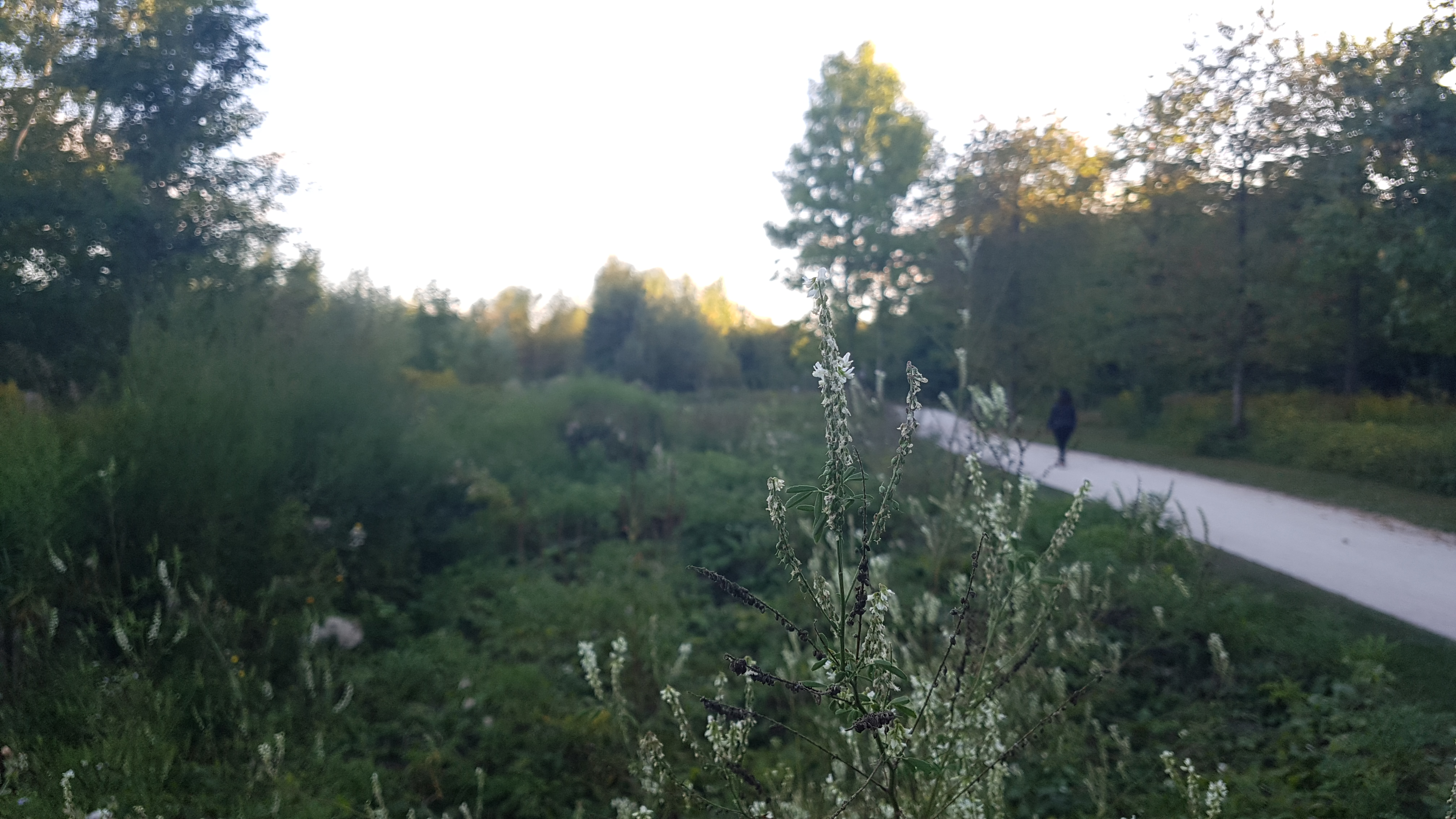 Photo n° 10 de l'avis de Sanjy.u fait le 20/09/2019 à 13:45