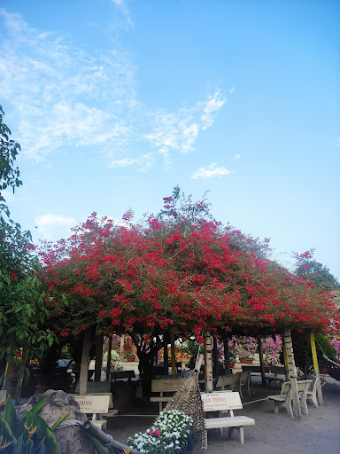 Top 20 mẫu cửa hàng đẹp Huyện Tịnh Biên An Giang 2022