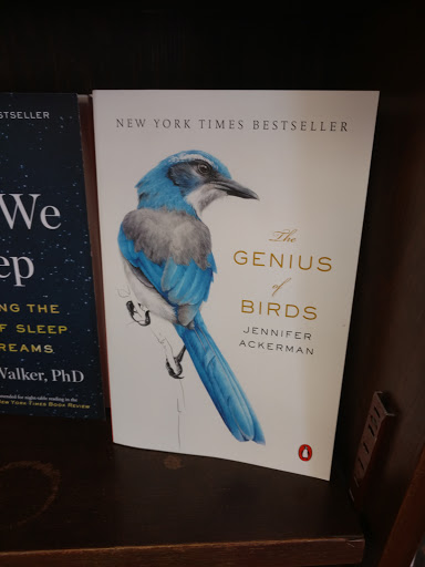 Book Store «Back of Beyond Book Store», reviews and photos, 83 N Main St, Moab, UT 84532, USA