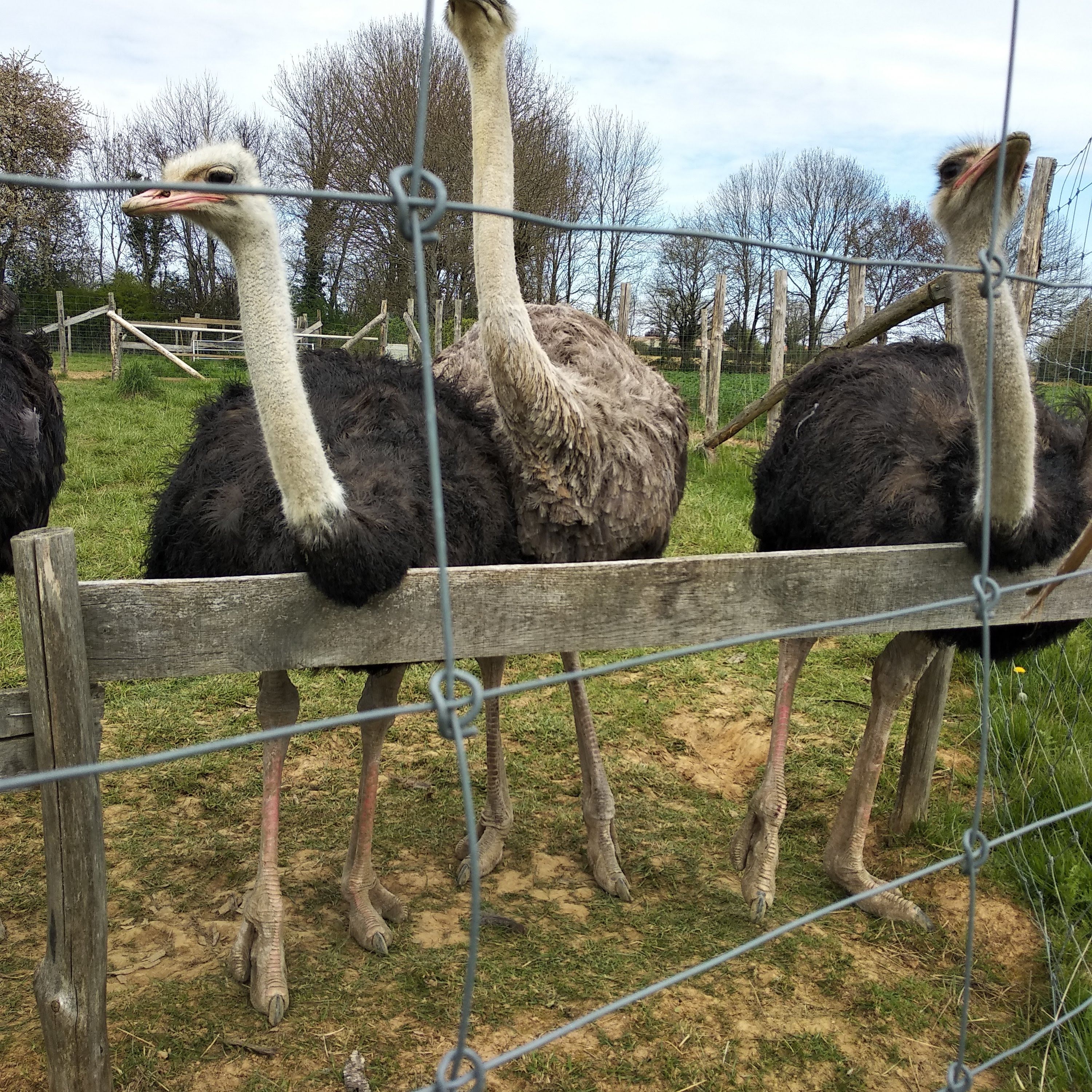 Photo n° 2 de l'avis de Corinne.r fait le 20/04/2019 à 14:41