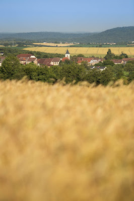 Le GAEC des Co'pains à Valleroy-le-Sec