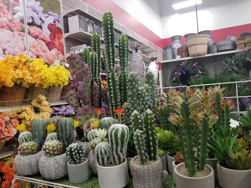 Craft Store «Michaels», reviews and photos, 7668 S Campus View Dr, West Jordan, UT 84084, USA