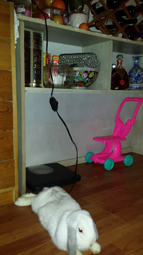 Title Company «Assurance Abstract», reviews and photos