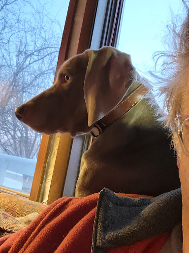 Animal Feed Store «Family Pet Food Center», reviews and photos, 1228 S Military Ave, Green Bay, WI 54304, USA