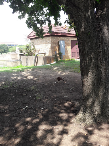 Golf Course «Cottonwood Valley Golf Course», reviews and photos, 4150 N MacArthur Blvd, Irving, TX 75038, USA