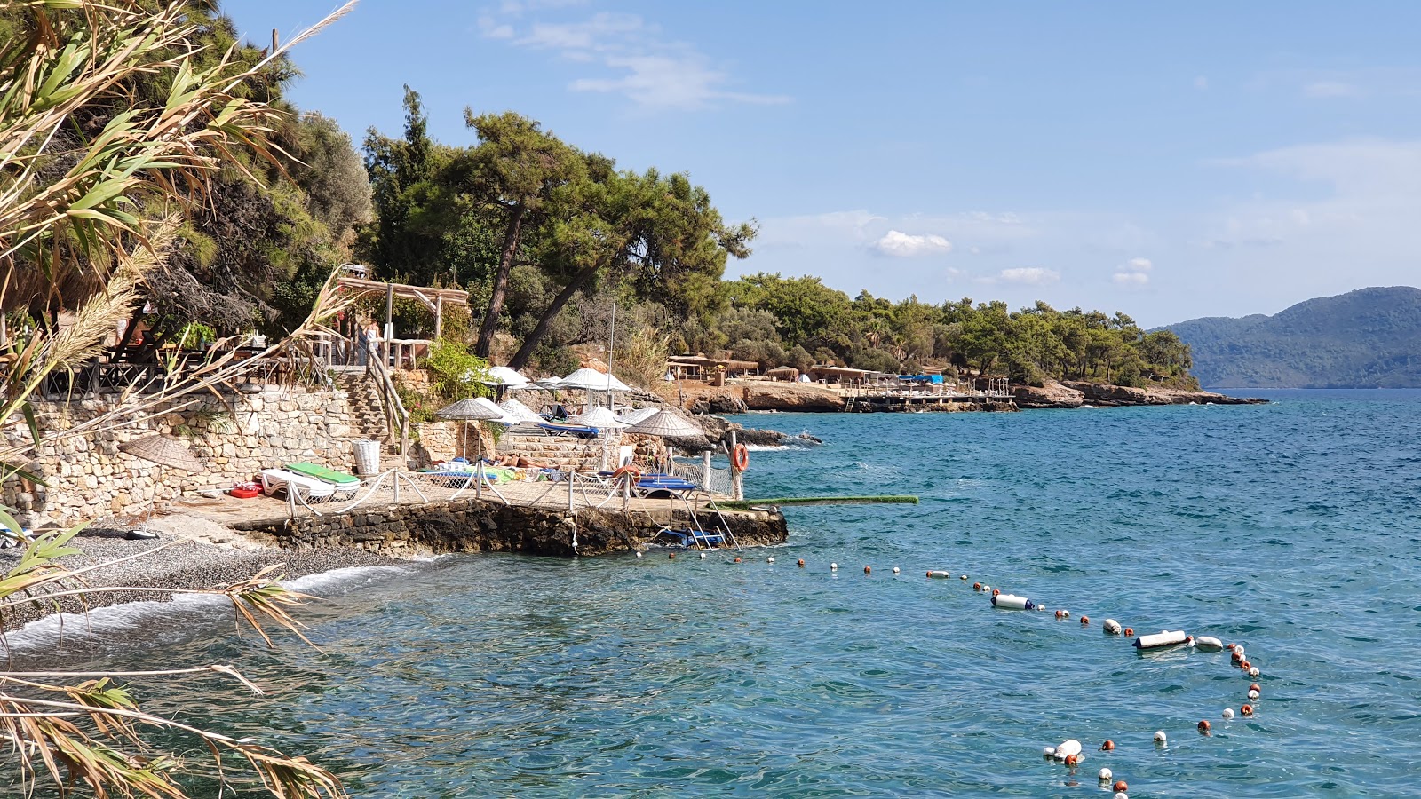 Çardak Plaj'in fotoğrafı plaj tatil beldesi alanı