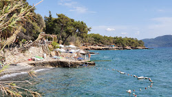 Çardak Plaj'in fotoğrafı plaj tatil beldesi alanı