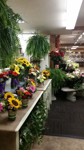 Gourmet Grocery Store «Fruit Center Marketplace», reviews and photos, 10 Bassett St, Milton, MA 02186, USA